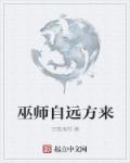 巫师自远方来