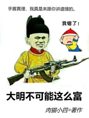 大明不可能这么富